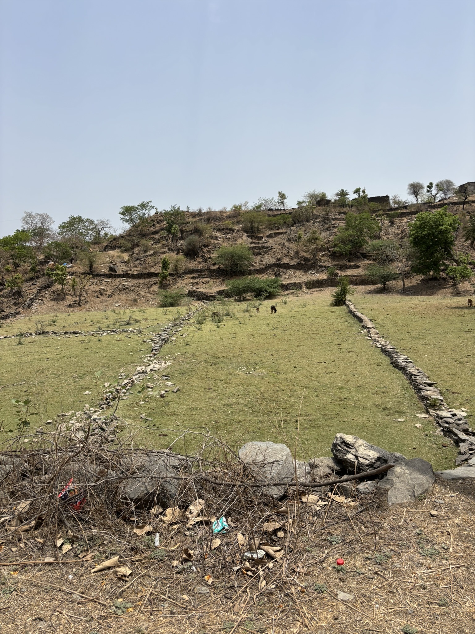 Farmhouse plot image