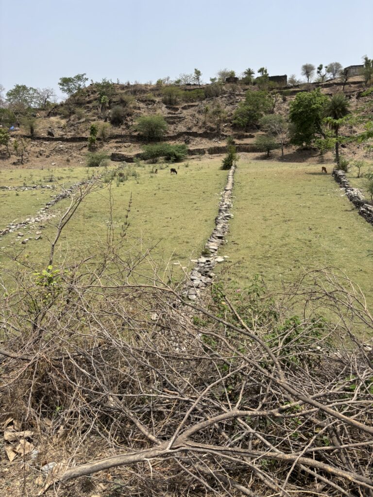 Farmhouse plot image