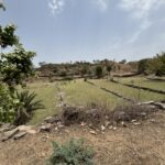 Farmhouse plot image