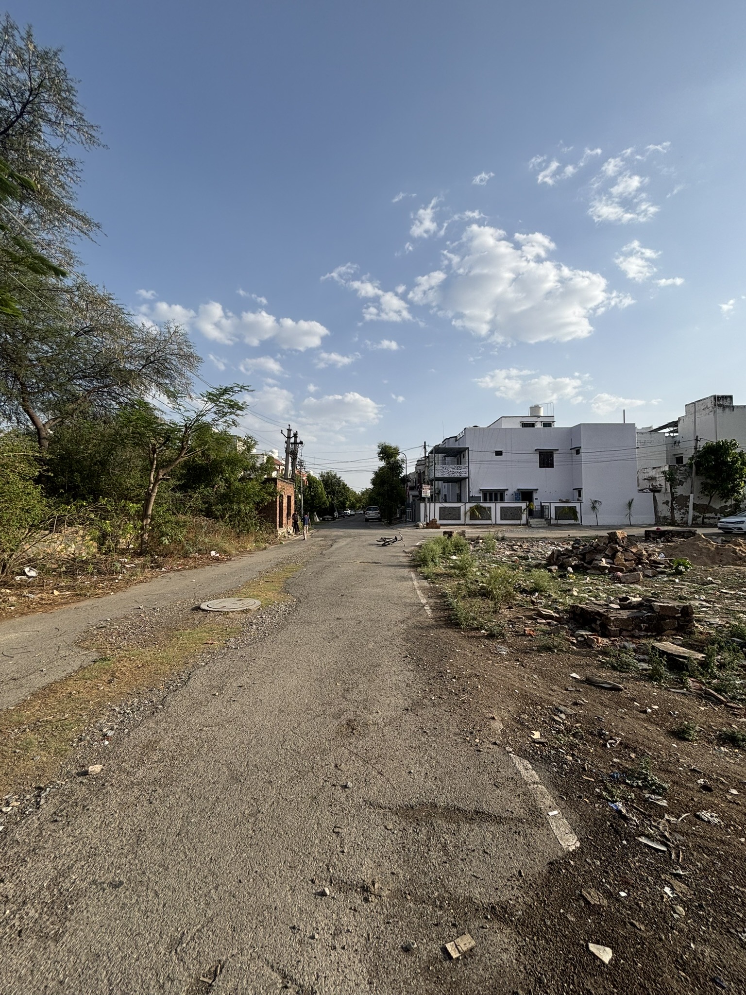 Sector- 11 IMG